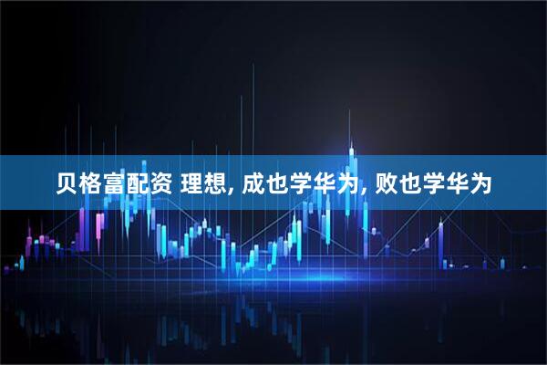 贝格富配资 理想, 成也学华为, 败也学华为