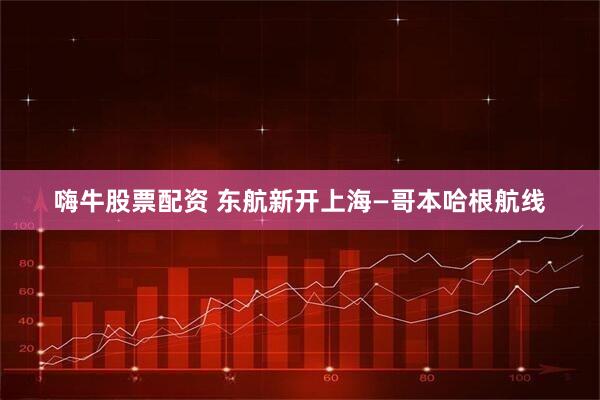 嗨牛股票配资 东航新开上海—哥本哈根航线