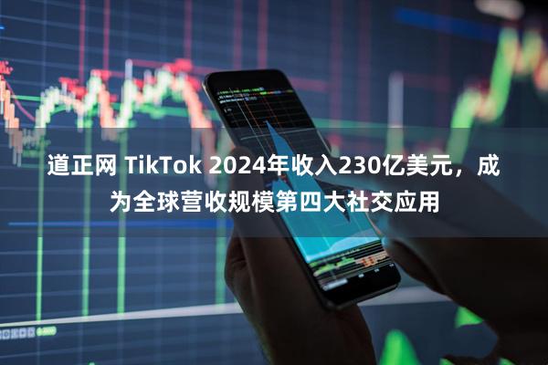 道正网 TikTok 2024年收入230亿美元，成为全球营收规模第四大社交应用