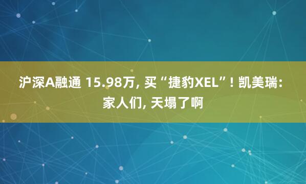沪深A融通 15.98万, 买“捷豹XEL”! 凯美瑞: 家人们, 天塌了啊