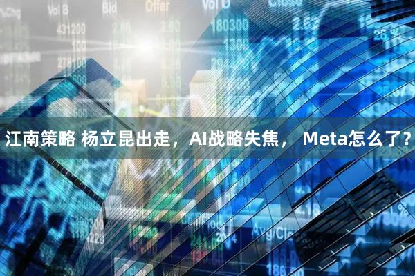 江南策略 杨立昆出走，AI战略失焦， Meta怎么了？